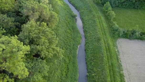 Drone Vuela Alrededor Del Río Rodeado Vegetación Campos Agrícolas Serbia — Vídeos de Stock