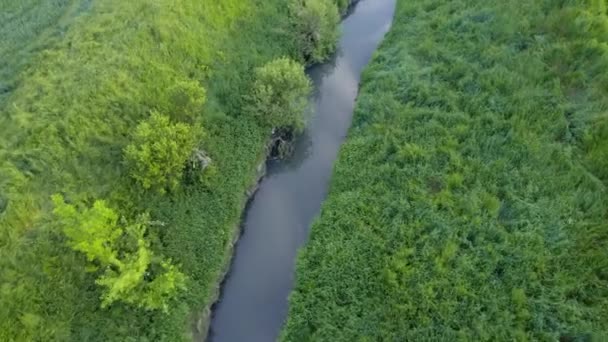 Drone Voa Redor Rio Cercado Por Vegetação Campos Agrícolas Sérvia — Vídeo de Stock