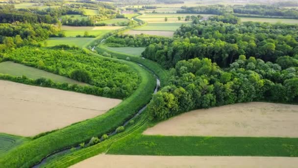 Drone Voa Redor Rio Cercado Por Vegetação Campos Agrícolas Sérvia — Vídeo de Stock