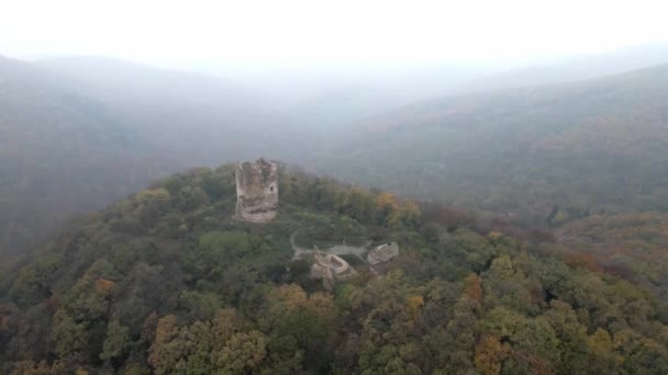 ドローンはフォグの森に囲まれた丘の上にヴュルニクの古い塔の遺跡から飛び去る — ストック動画