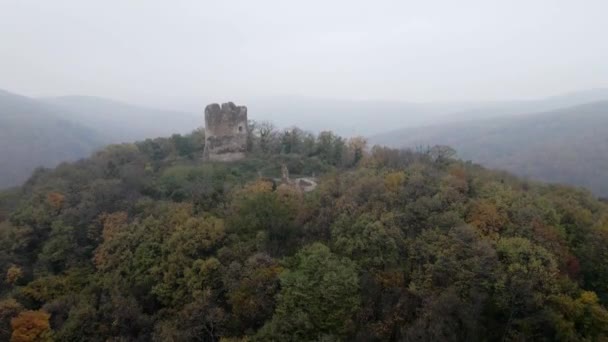 霧の中の森に囲まれた丘の上のヴォルニクの古い塔の残骸の空中観察 — ストック動画