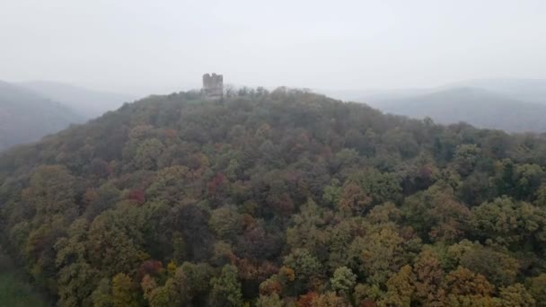 霧の中の森に囲まれた丘の上のヴォルニクの古い塔の残骸の空中観察 — ストック動画
