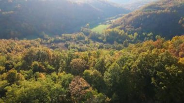 Sırbistan 'da güneşli bir günde ormanlık dağın güzel hava görüntüleri