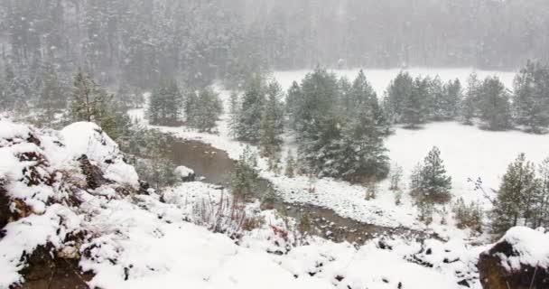 Blizzard Одеяла Вечнозеленые Леса Окружающие Небольшой Замерзший Пруд — стоковое видео