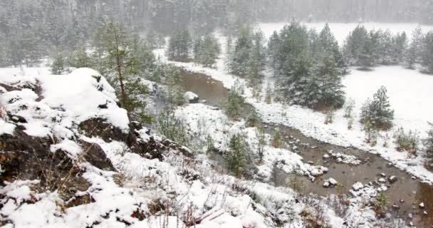 Kar Fırtınası Küçük Donmuş Bir Göleti Çevreleyen Yemyeşil Ormanı Kaplıyor — Stok video