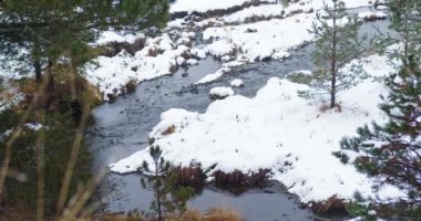 Sırbistan 'ın Zlatibor kentinde kışın gölete düşen kar görüntüleri