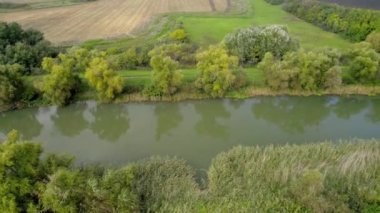 Sırbistan 'ın Zitiste kentindeki ağaçlar ve çalılarla çevrili Bega Nehri üzerinde insansız hava aracı uçuyor