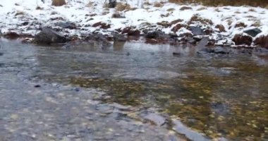 Altında kayalar olan sığ sular karlı toprakların zeminine kurulur.