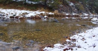 Sırbistan 'ın Zlatibor kentindeki karlı arazide kışın sığ bir nehir akıyor