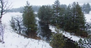 Sırbistan 'ın Zlatibor kentinde küçük bir gölette kardaki çam ağaçları