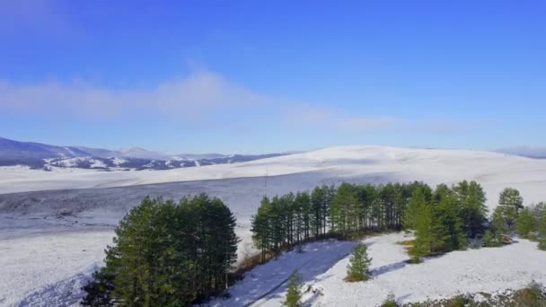 Smukke Drone Optagelser Sne Dækket Jord Bjerge Træer Mod Blå – Stock-video
