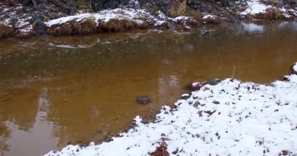 Met Sneeuw Bedekte Grond Bij Een Stromende Modderige Rivier Zlatibor — Stockvideo
