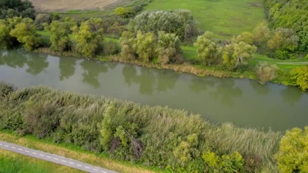 Bega Flod Omgiven Träd Och Buskar Zitiste Serbien Sett Ovanifrån — Stockvideo