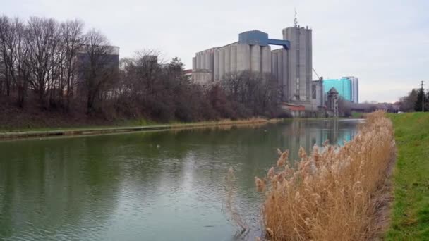 Mallard Ördekleri Gölde Yüzer Bir Fabrika Hastane Arka Planda Görünür — Stok video