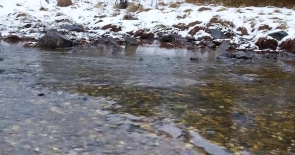 Неглибока Вода Скелями Встановлена Тлі Засніженої Землі — стокове відео