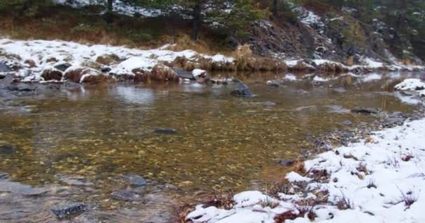 Grund Flod Rinner Genom Snöig Terräng Zlatibor Serbien Vintern — Stockvideo