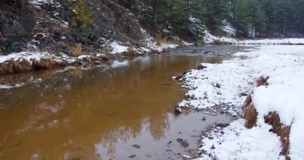 雪はセルビアのティラボルで常緑の森を流れる泥の川に落ちる — ストック動画