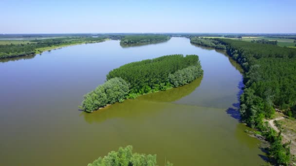 Pequeña Isla Boscosa Río Danubio Bajo Cielo Azul Brillante Verano — Vídeos de Stock
