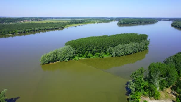 Let Dronem Zalesněné Oblasti Říčním Ostrově Uprostřed Dunaje — Stock video