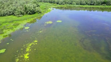 Ormanlarla çevrili bir bataklığın kıyısında İHA uçuşu