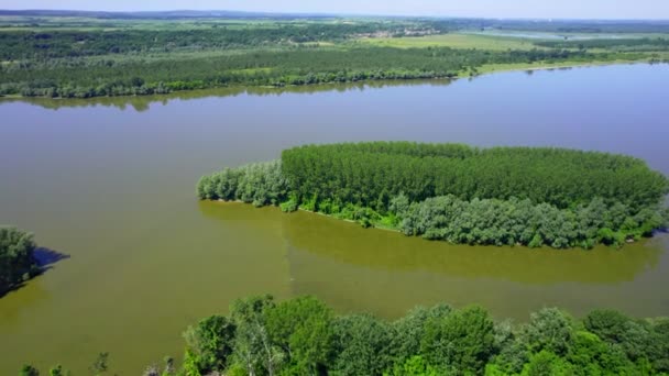 Letecký Pohled Zalesněný Říční Ostrov Dunaji Slunečného Letního Dne — Stock video