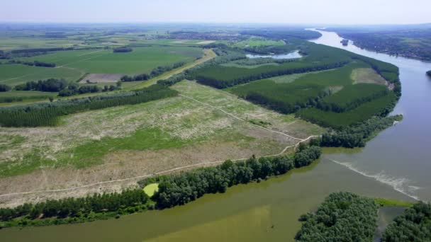 Letecký Pohled Břeh Dunaje Obklopený Zelenou Krajinou Létě — Stock video