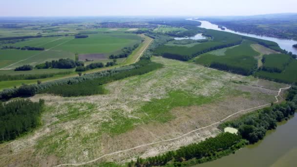 Flygbilder Från Donaus Flodstrand Och Gröna Fält — Stockvideo