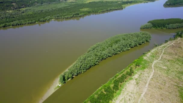 Drohne Stürzt Und Erfasst Bewaldete Insel Donau Und Flussufer — Stockvideo