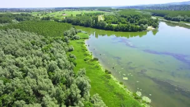 Повітряне Зображення Річки Оточеної Лісами Сільськогосподарськими Полями — стокове відео