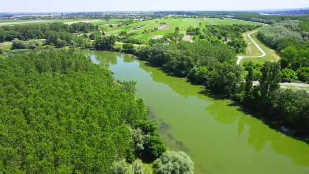 Letecký Pohled Řeku Obklopenou Lesy Zemědělskými Poli — Stock video