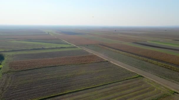 Dron Létá Nad Rovinatou Krajinou Zemědělskými Poli Poblíž Belegis Serboa — Stock video