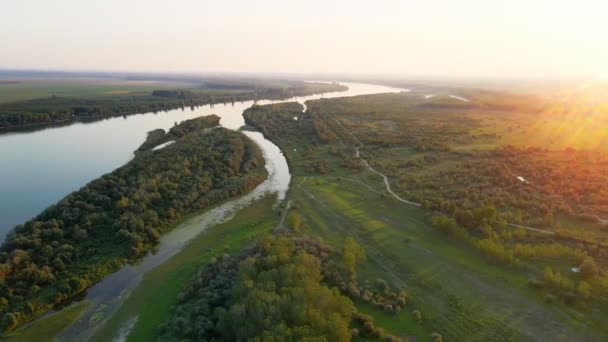 Drone Captura Río Danubio Aterriza Rodeándolo Con Prados Bosques Atardecer — Vídeos de Stock