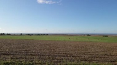 İnsansız hava aracı engin yeşil alanları ve mavi gökyüzü ufkunun altında bir avcının yürüyüşünü yakalar.