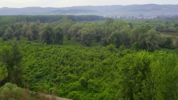Dron Záběry Zachycuje Svěží Zelené Lesy Vegetace Horami Zdobí Pozadí — Stock video