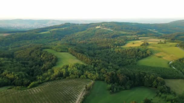 Зелений Краєвид Дрона Лісами Полями Горі Букулья Сербія — стокове відео