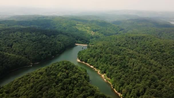 Snový Letecký Pohled Lesy Obklopující Jezero Bukulja Srbsku — Stock video