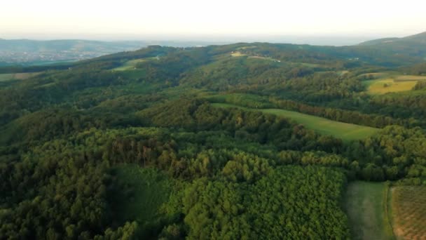 Bela Paisagem Aérea Bosques Prados Montanha Bukulja Sérvia — Vídeo de Stock