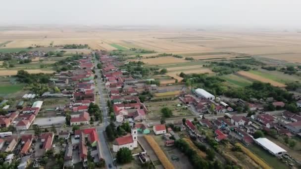 セルビアのドンジ ペトロヴィッチ村の住宅地を取り囲む乾燥した金の農業分野の空想的な眺め — ストック動画
