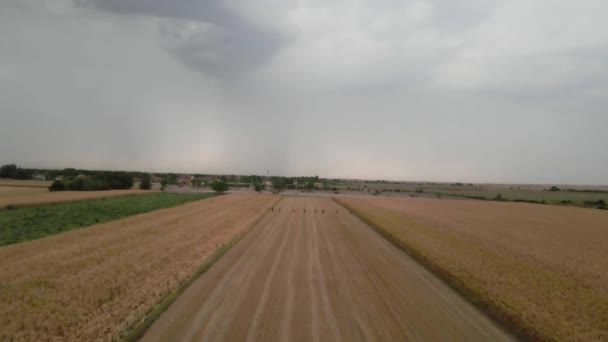 Drone Captures Thunderstorm While Unrecognizable Hunters Dogs Walk Forward — Stock Video