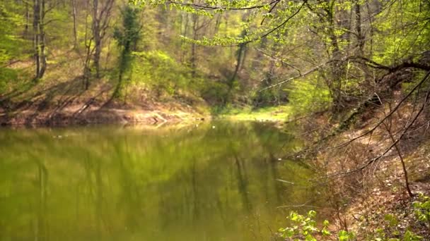 塞尔维亚Fruska Gora山上阳光明媚的森林中的一个湖泊的Idyllic视图 — 图库视频影像