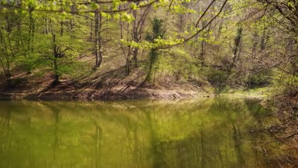 Krásný Výhled Jezero Popovica Lesích Hoře Fruska Gora Srbsku — Stock video