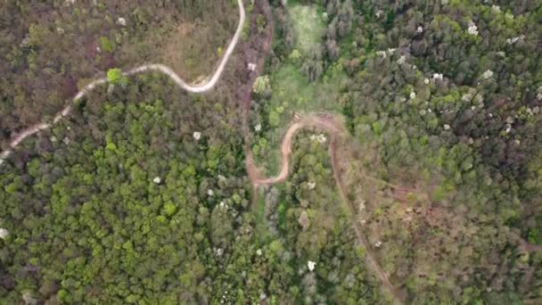 Luftaufnahme Von Straßen Und Einem See Testera Wald — Stockvideo