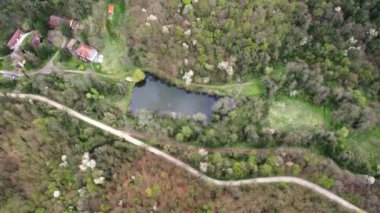 Ormandaki gölün üzerinde bir dron daireler çiziyor. Yakınlarda bir yol var.