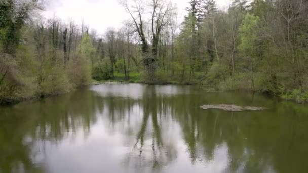 Let Dronem Nad Vlnící Hladinou Jezera Keři Stromy Břehu — Stock video