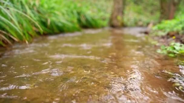 Close Schot Van Stromend Kabbelend Water Boven Rode Grond Omgeven — Stockvideo