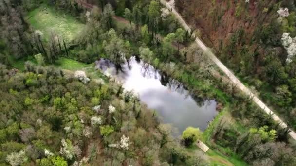Drone Effrayé Autour Lac Dans Les Bois Avec Une Route — Video