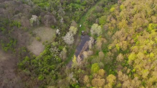 Aerial View Woods Lush Green Yellow Foliage Small Lake Center — Stock Video