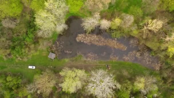 Aerial View Shallow Pond Middle Woods — Stock Video