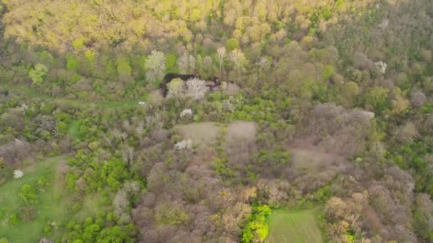 Drone survole les bois capturant quelques maisons et une montagne à l'horizon sous le ciel nuageux
