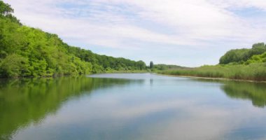 İnsansız hava aracı nehir kıyısında su ve yeşillik yakalıyor.